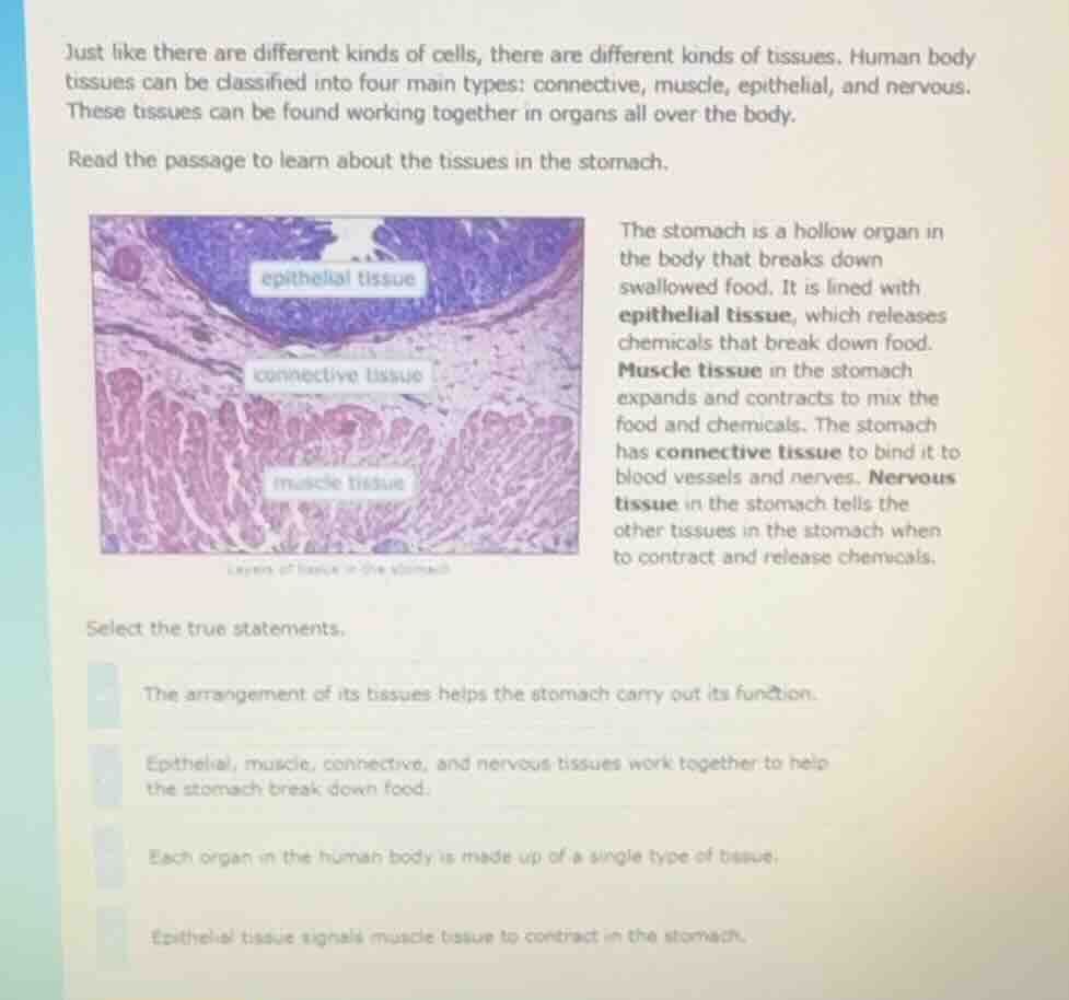 just like there are different kinds of cells, there are different kinds…