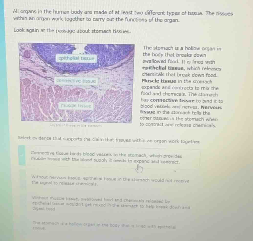 all organs in the human body are made of at least two different types o…