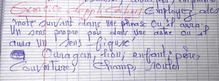 exercice dopplication employez ales mot suivant dans une phrase ou il a…