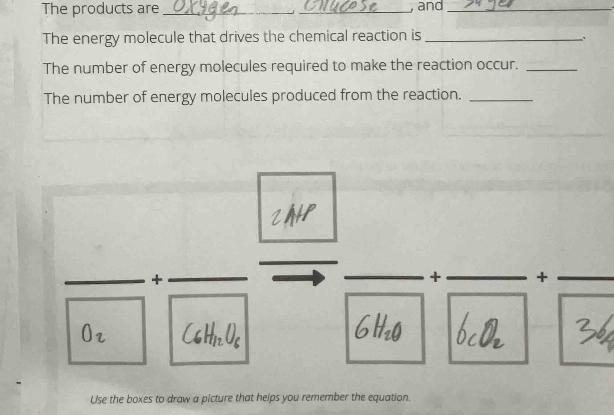 the products are ______, ______, and ______.the energy molecule that dr…
