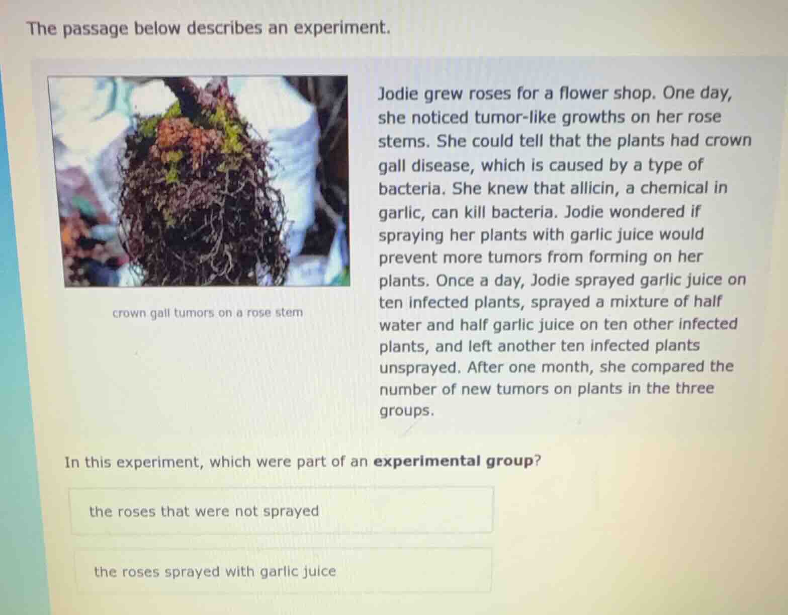 the passage below describes an experiment. crown gall tumors on a rose …