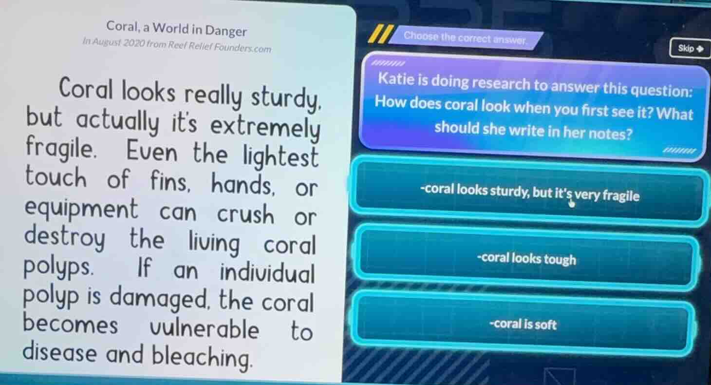 coral, a world in danger in august 2020 from reef relief founders.com c…