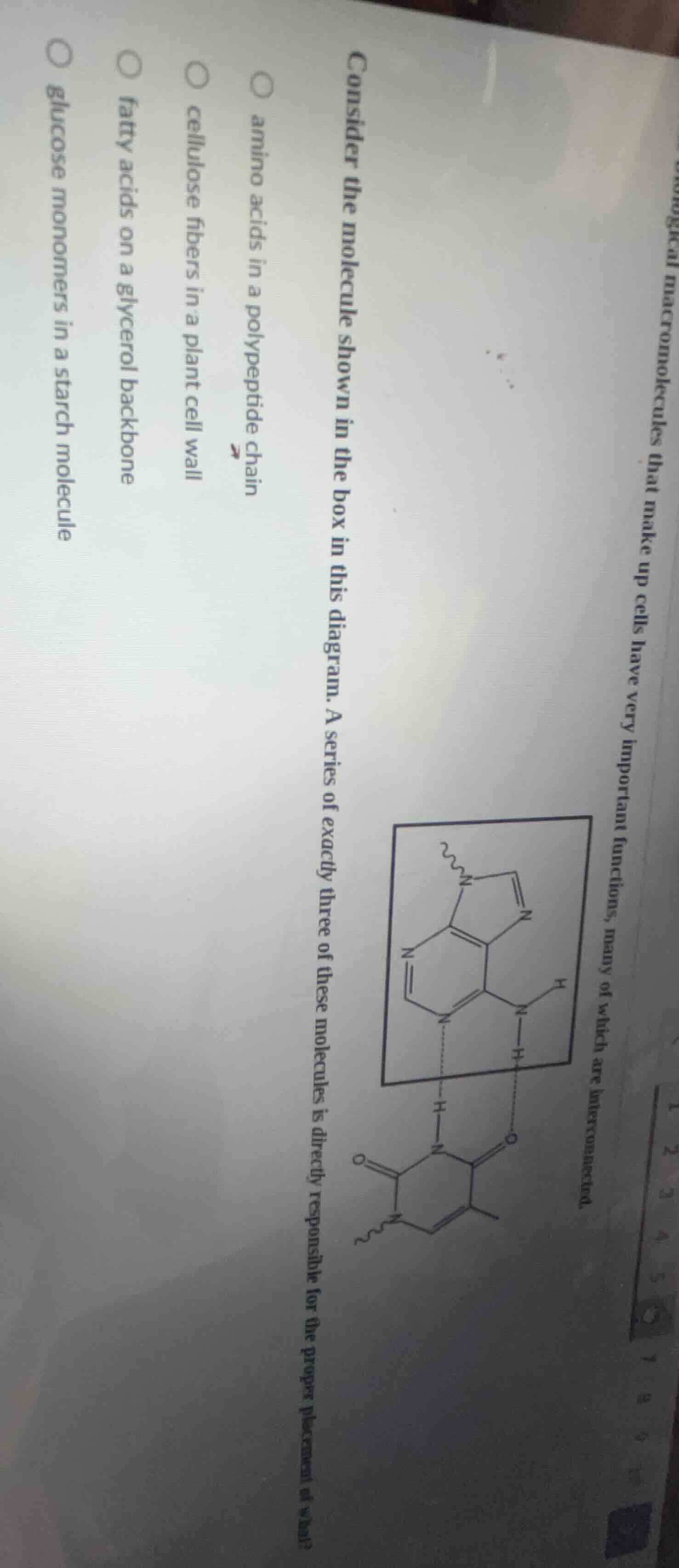 biological macromolecules that make up cells have very important functi…