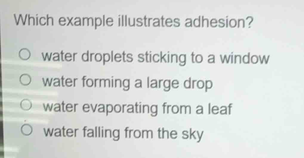 which example illustrates adhesion? ○ water droplets sticking to a wind…