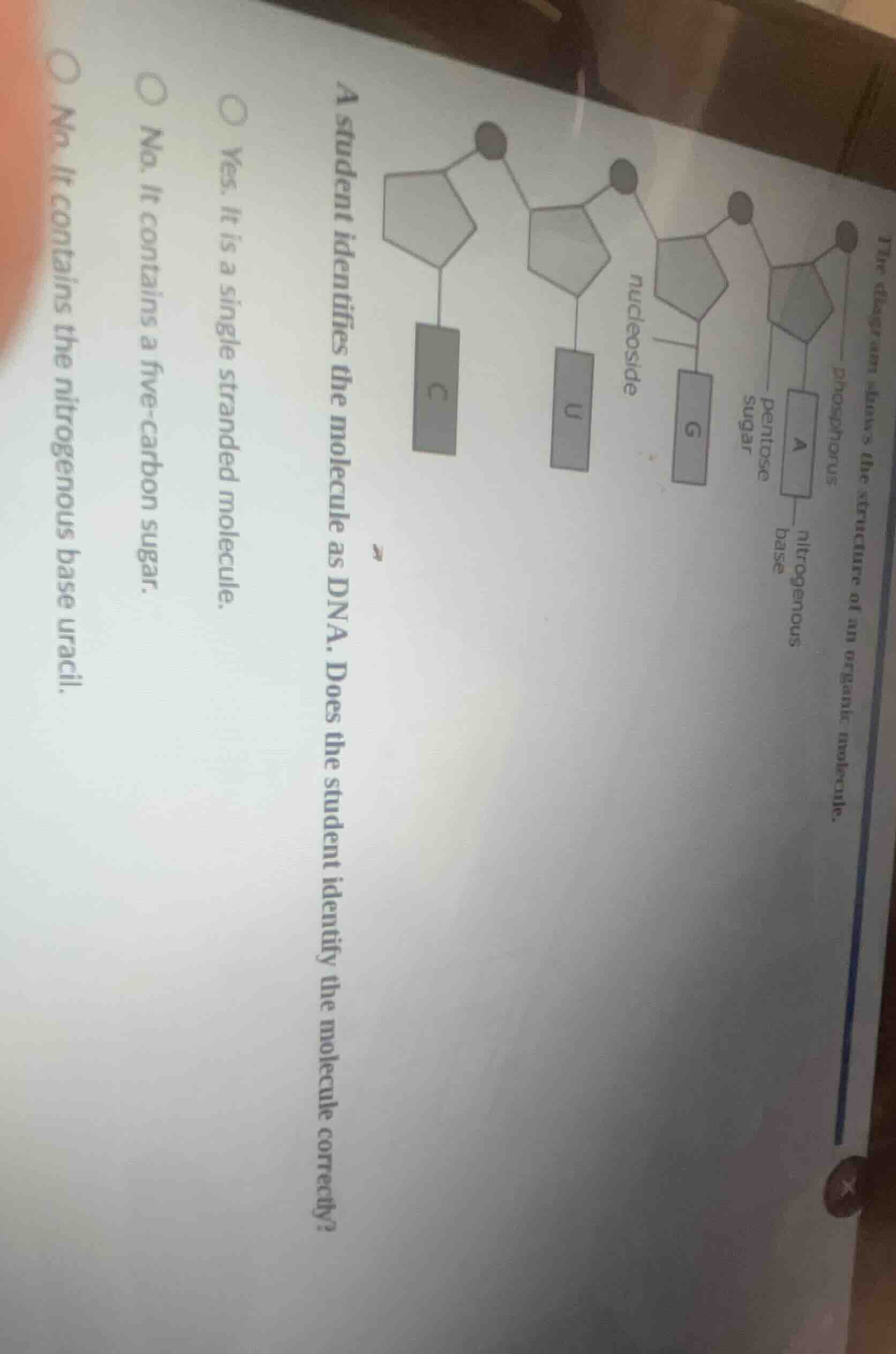 the diagram shows the structure of an organic molecule.a student identi…