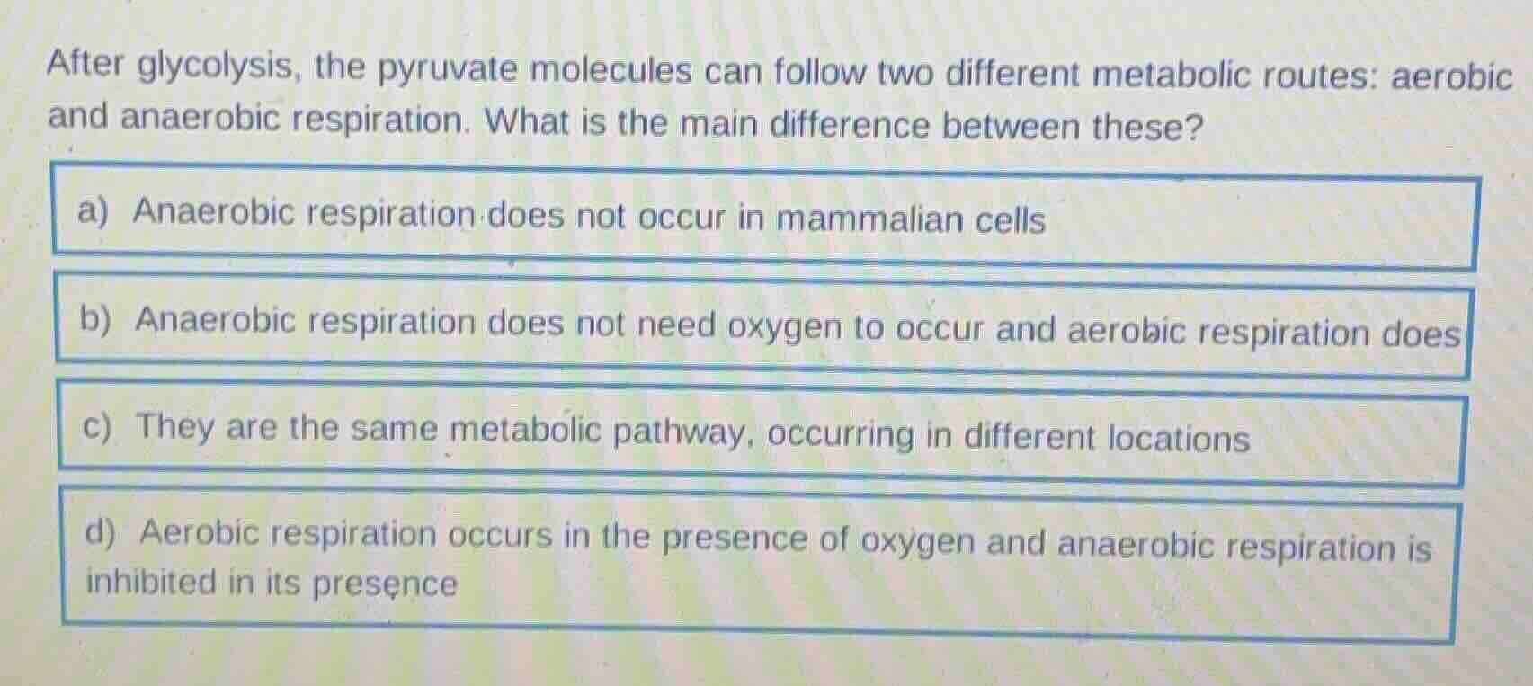 after glycolysis, the pyruvate molecules can follow two different metab…