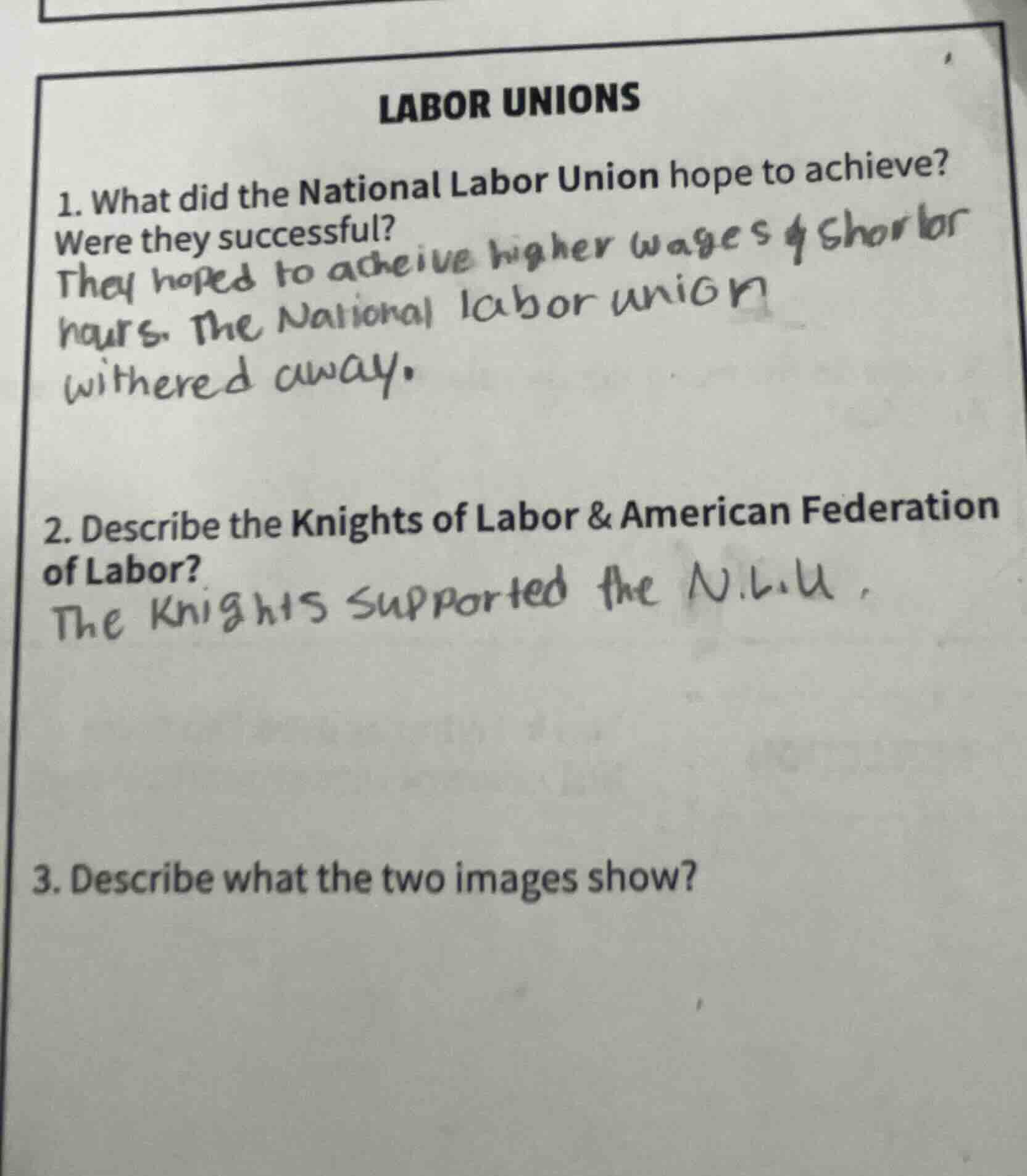 labor unions 1. what did the national labor union hope to achieve? were…