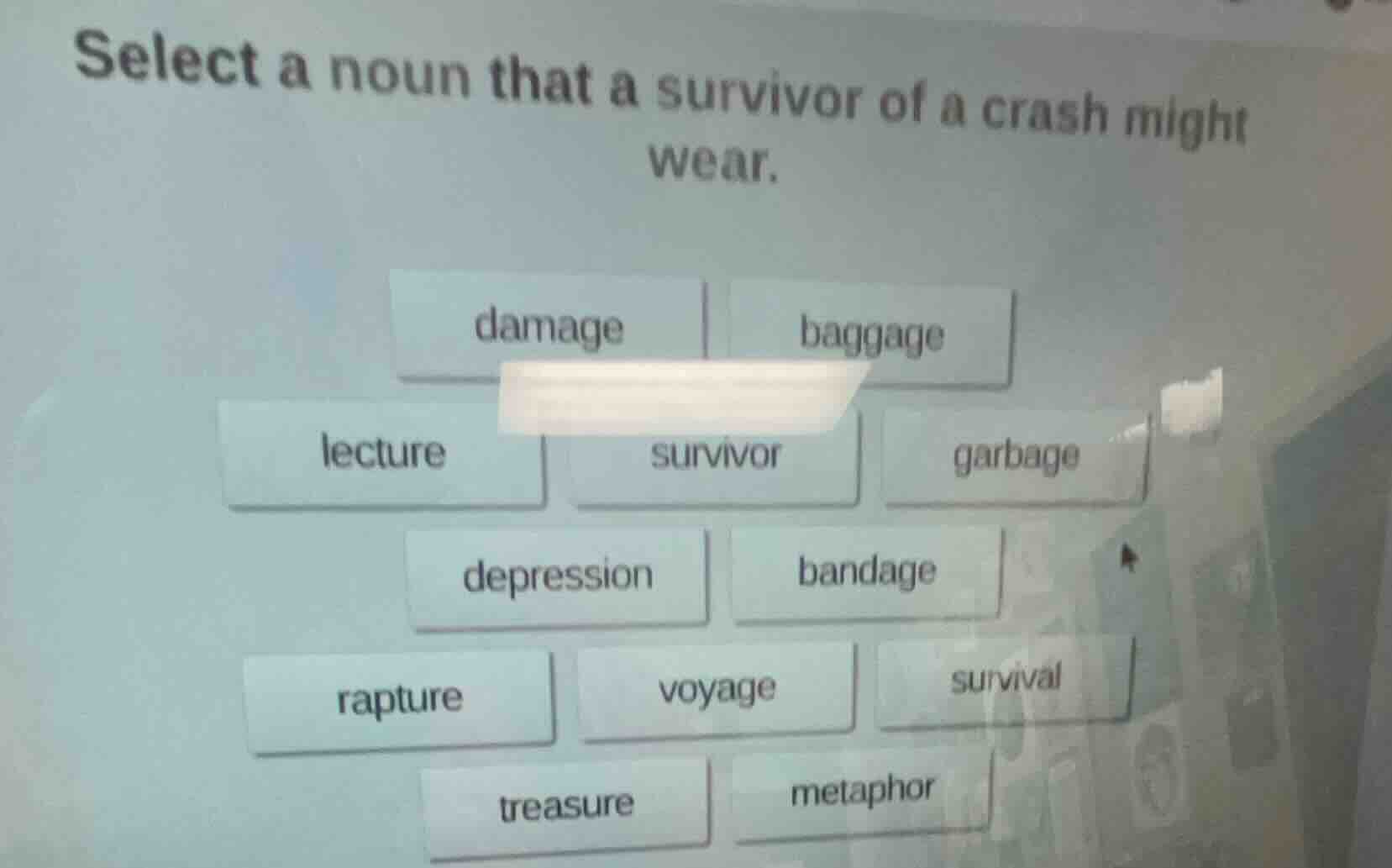 select a noun that a survivor of a crash might wear. damage baggage lec…