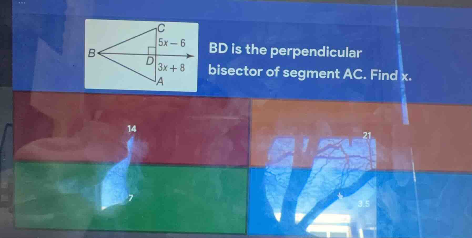 bd is the perpendicular bisector of segment ac. find x. 14 7 21 3.5