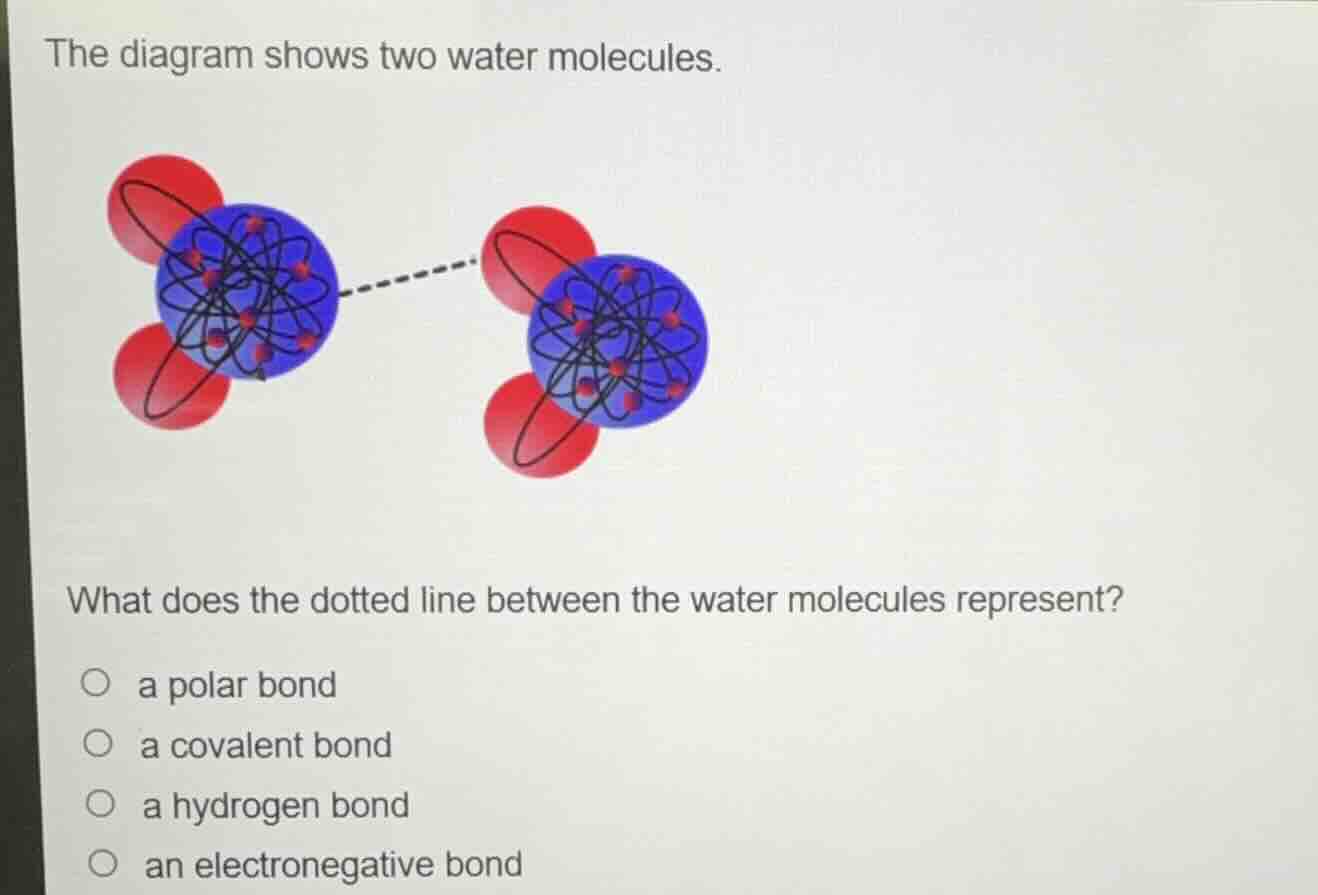 the diagram shows two water molecules.\nwhat does the dotted line between the water molecules represent?\n○ a polar bond\n○ a covalent bond\n○ a hydrogen bond\n○ an electronegative bond