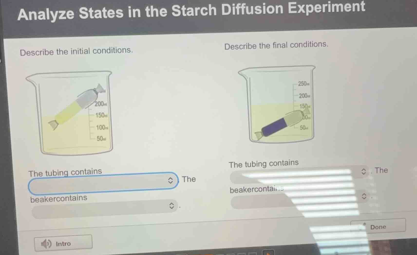 analyze states in the starch diffusion experiment describe the initial …