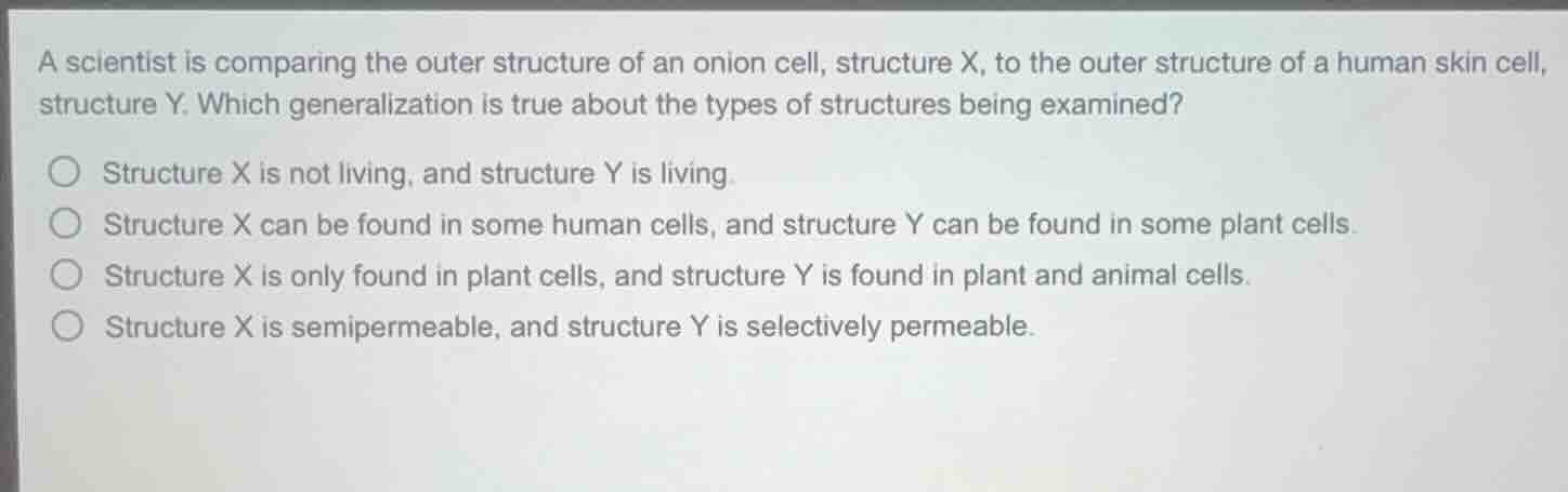 a scientist is comparing the outer structure of an onion cell, structur…