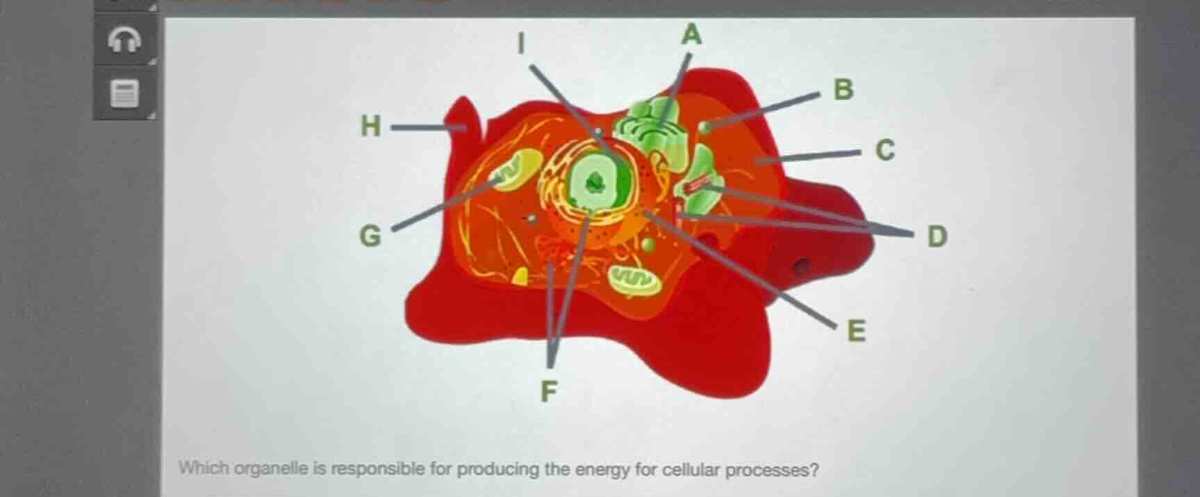 which organelle is responsible for producing the energy for cellular pr…