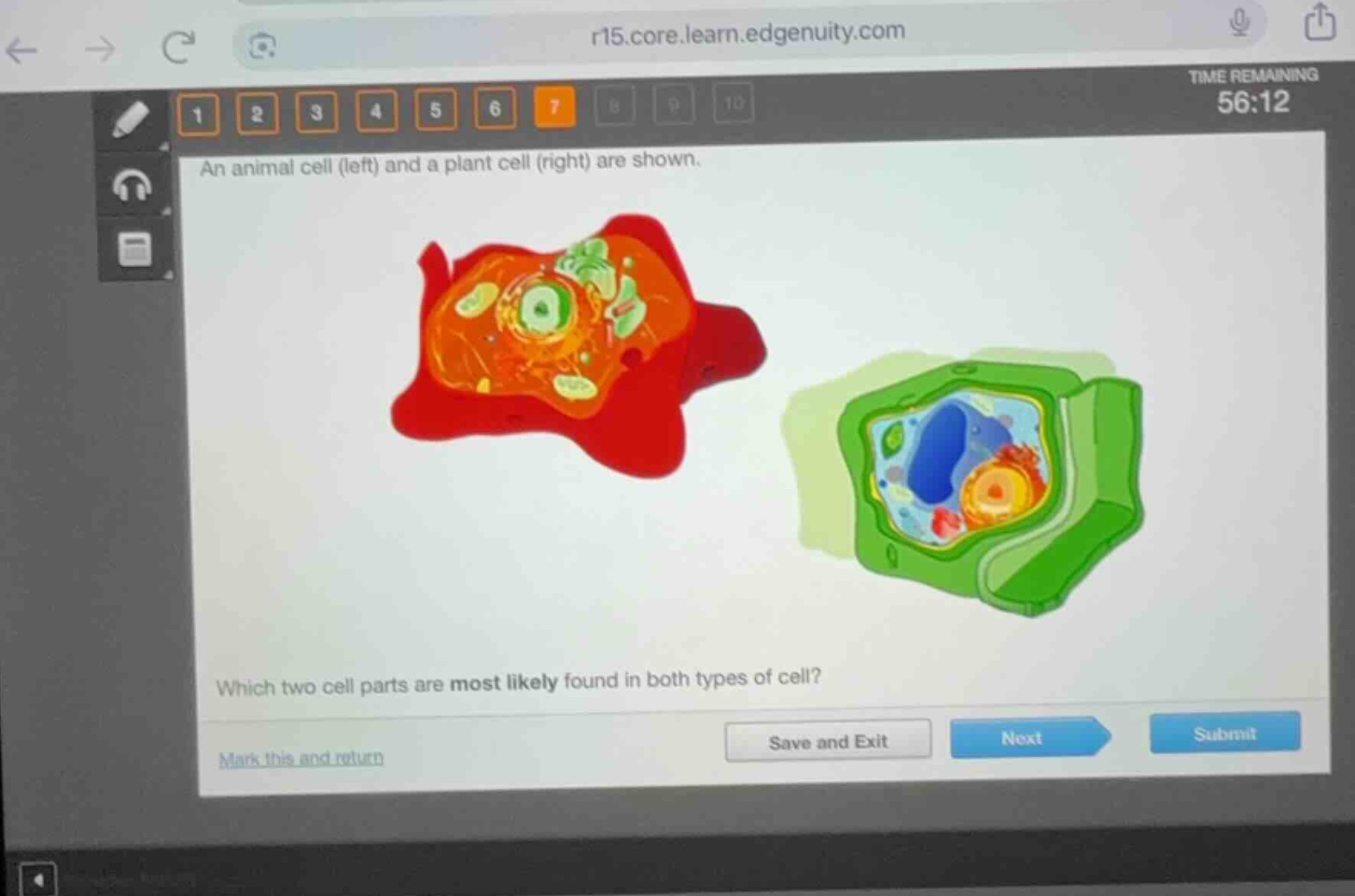 an animal cell (left) and a plant cell (right) are shown. which two cel…