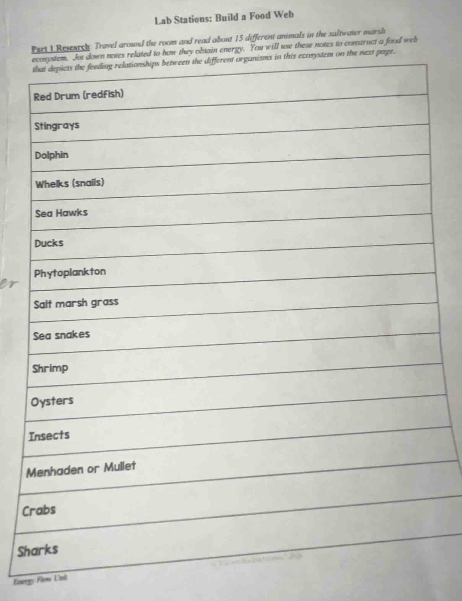 lab stations: build a food web part 1 research: travel around the room …