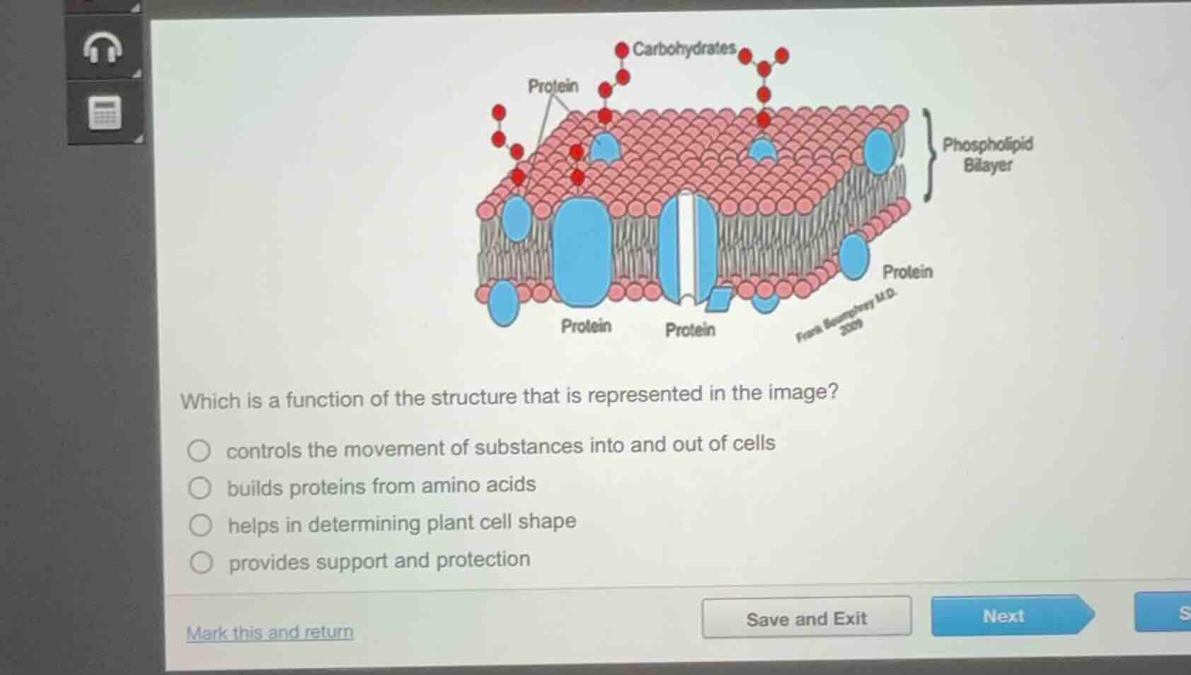 which is a function of the structure that is represented in the image?c…