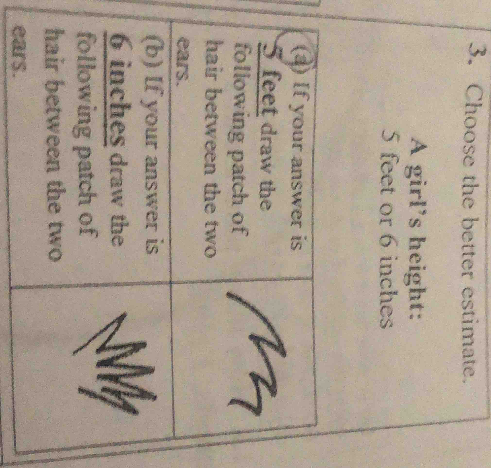 3. choose the better estimate. a girls height: 5 feet or 6 inches (a) i…