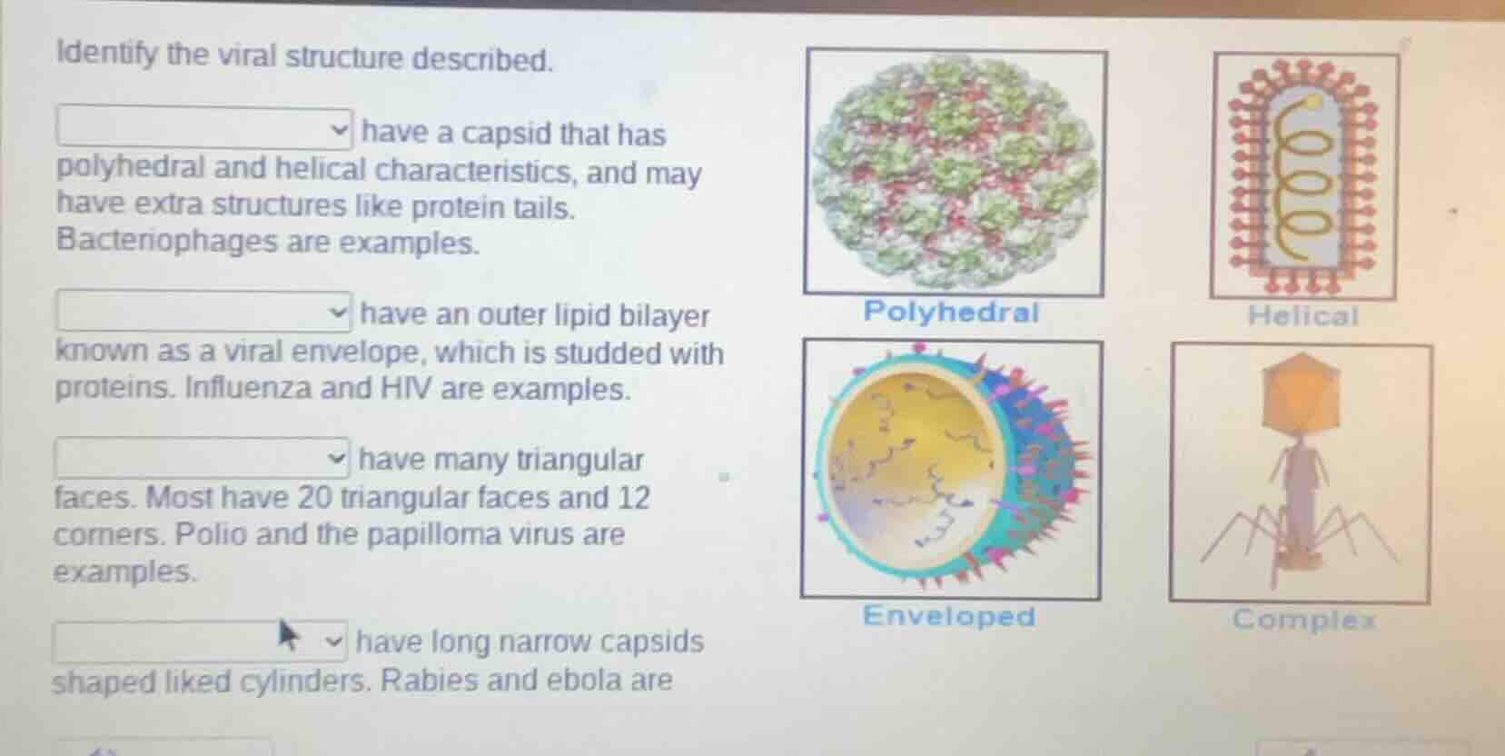 identify the viral structure described. have a capsid that has polyhedr…