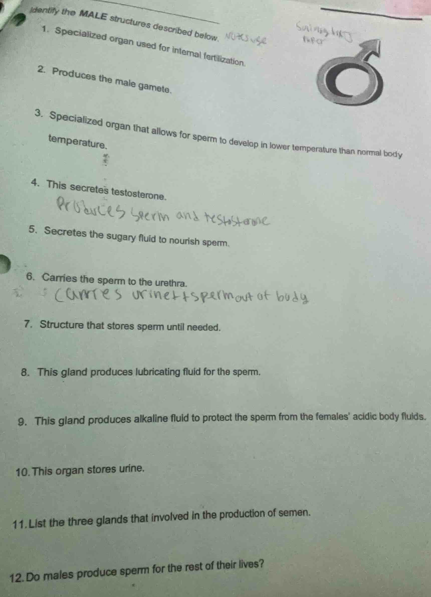 identify the male structures described below.1. specialized organ used …