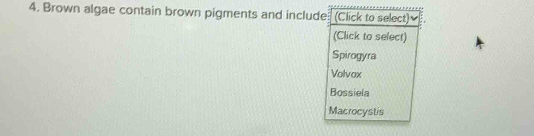 4. brown algae contain brown pigments and include (click to select)opti…