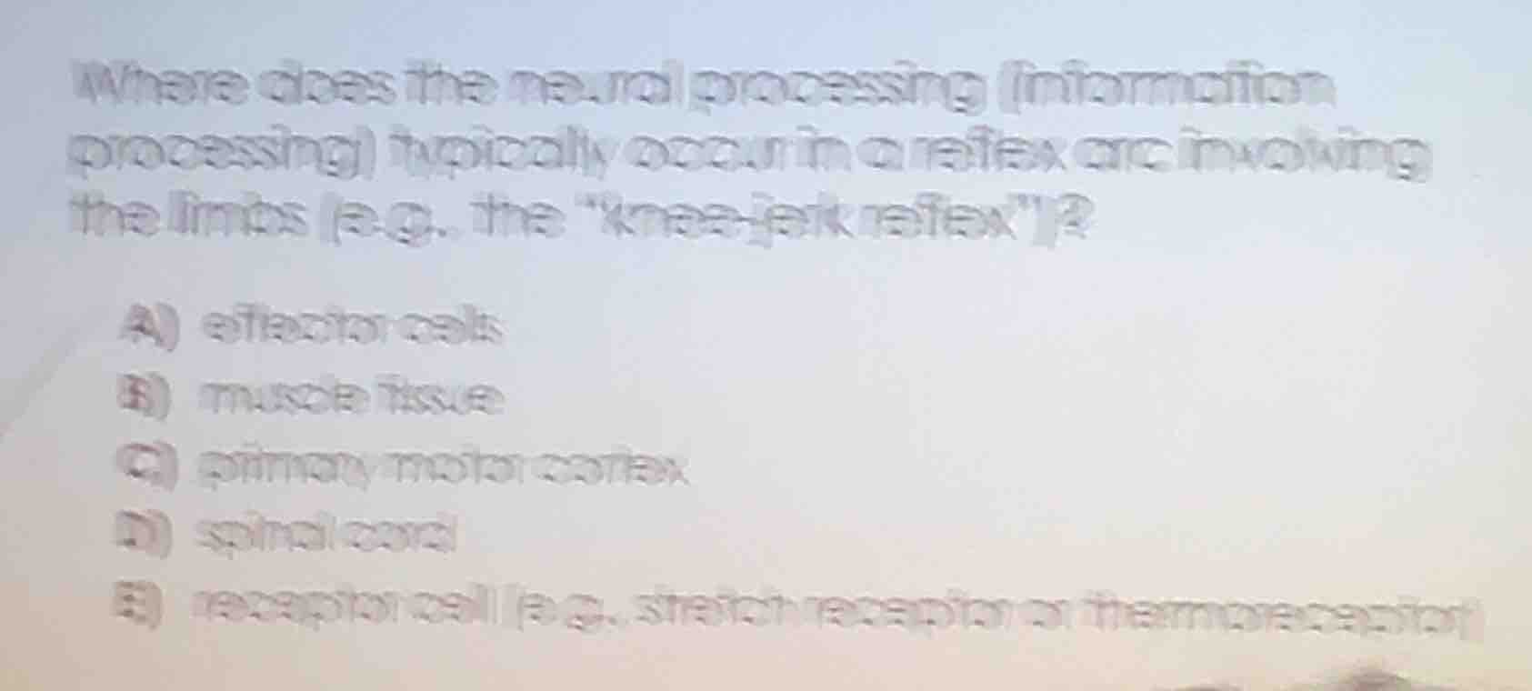 where does the neural processing (information processing) typically occ…