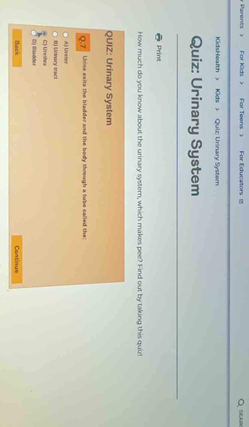 parents > for kids > for teens > for educatorskidshealth > kids > quiz:…