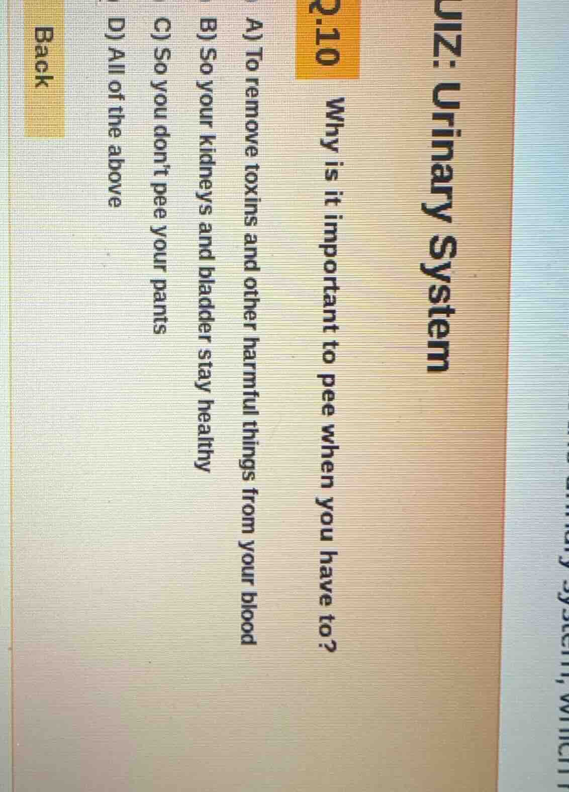 uiz: urinary system q.10 why is it important to pee when you have to? a…