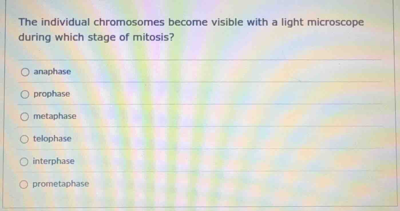 the individual chromosomes become visible with a light microscope durin…