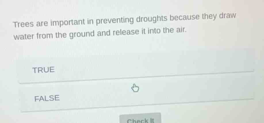trees are important in preventing droughts because they draw water from…