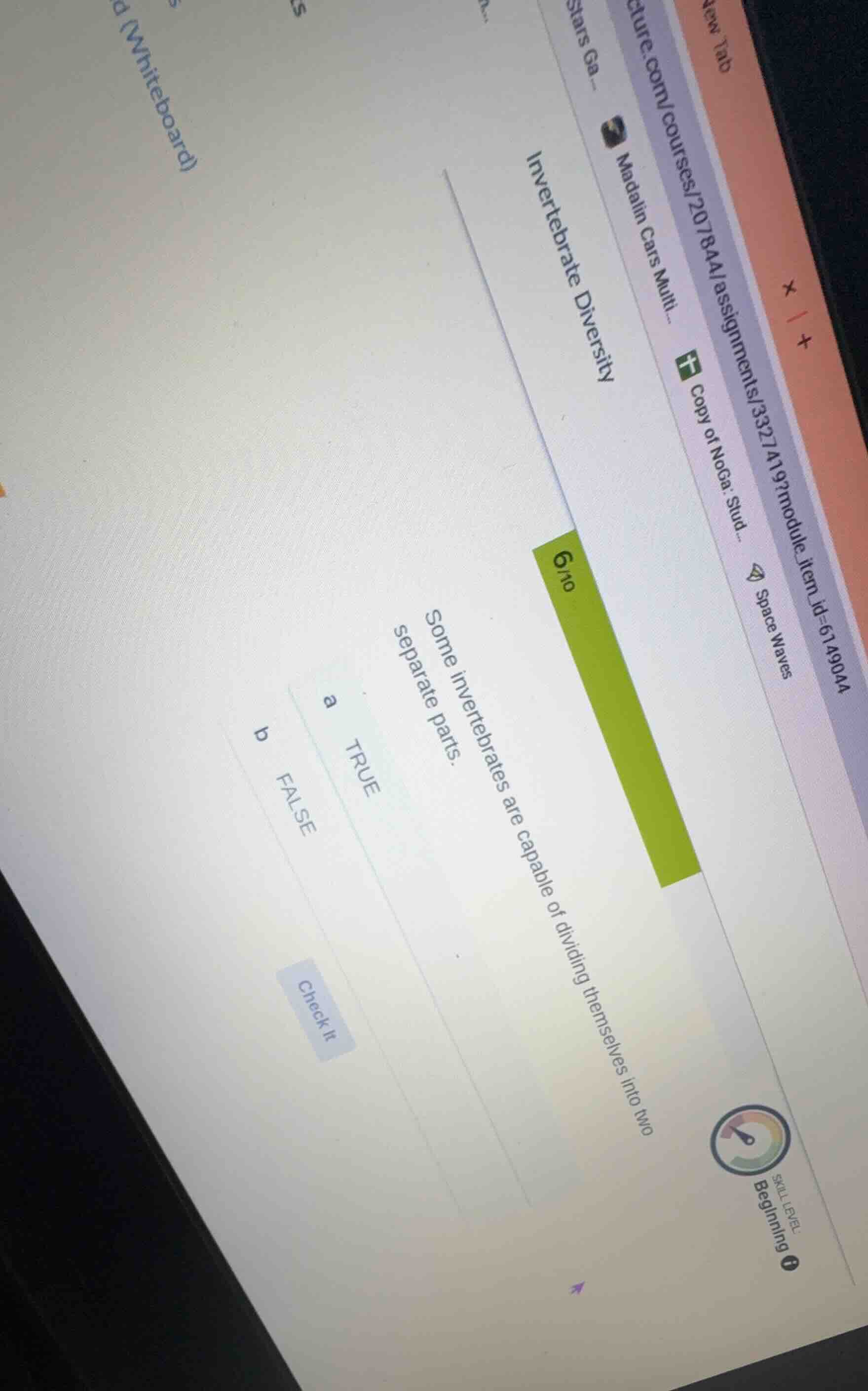 invertebrate diversity 6/10 some invertebrates are capable of dividing …