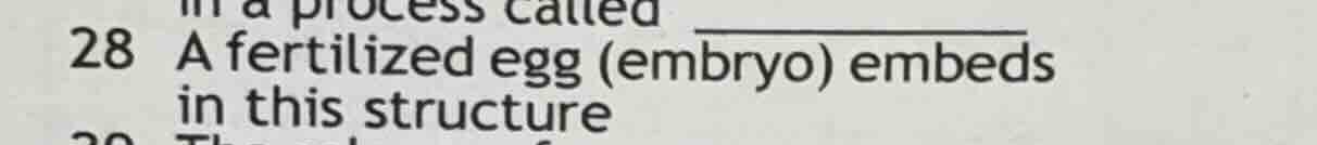 28 a fertilized egg (embryo) embeds in this structure