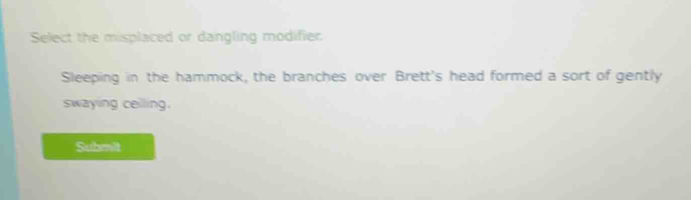 select the misplaced or dangling modifier. sleeping in the hammock, the…
