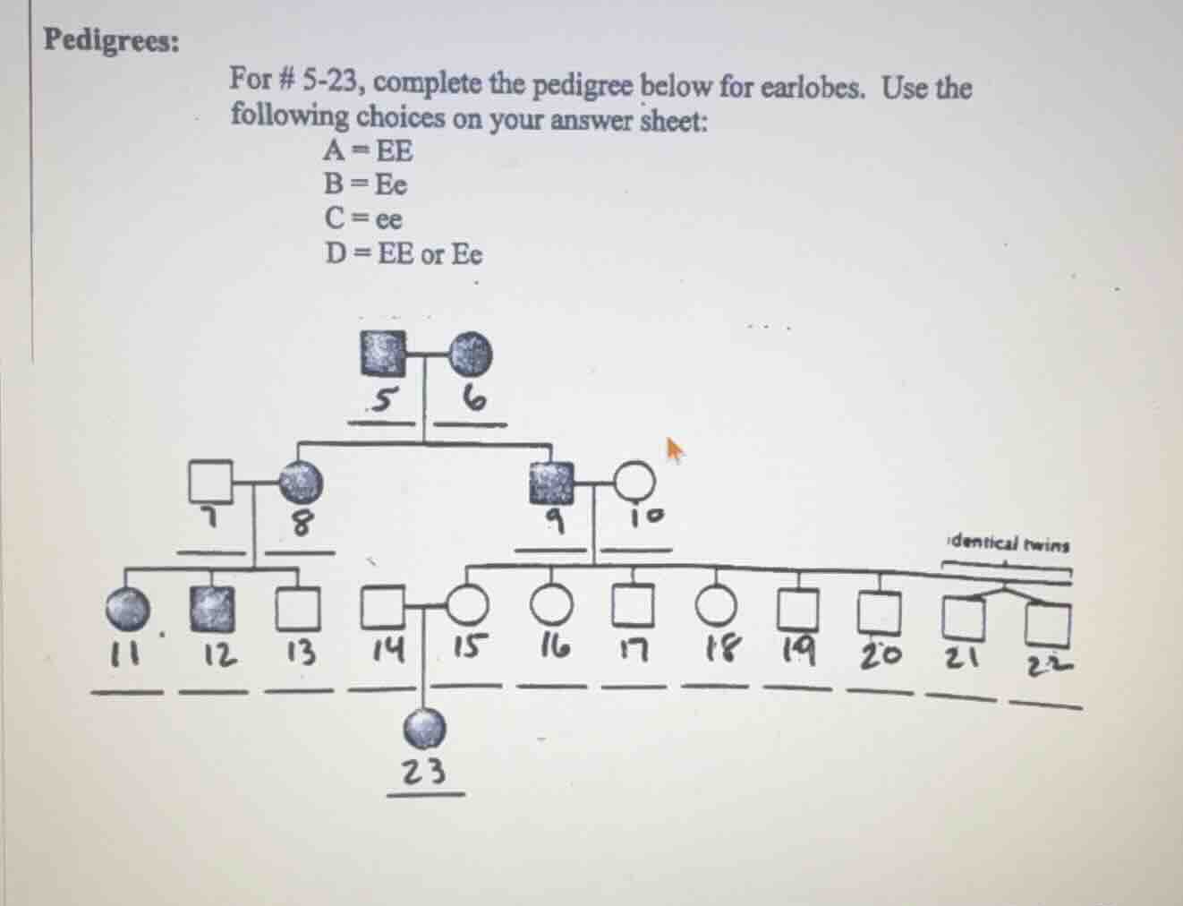 pedigrees: for # 5-23, complete the pedigree below for earlobes. use th…
