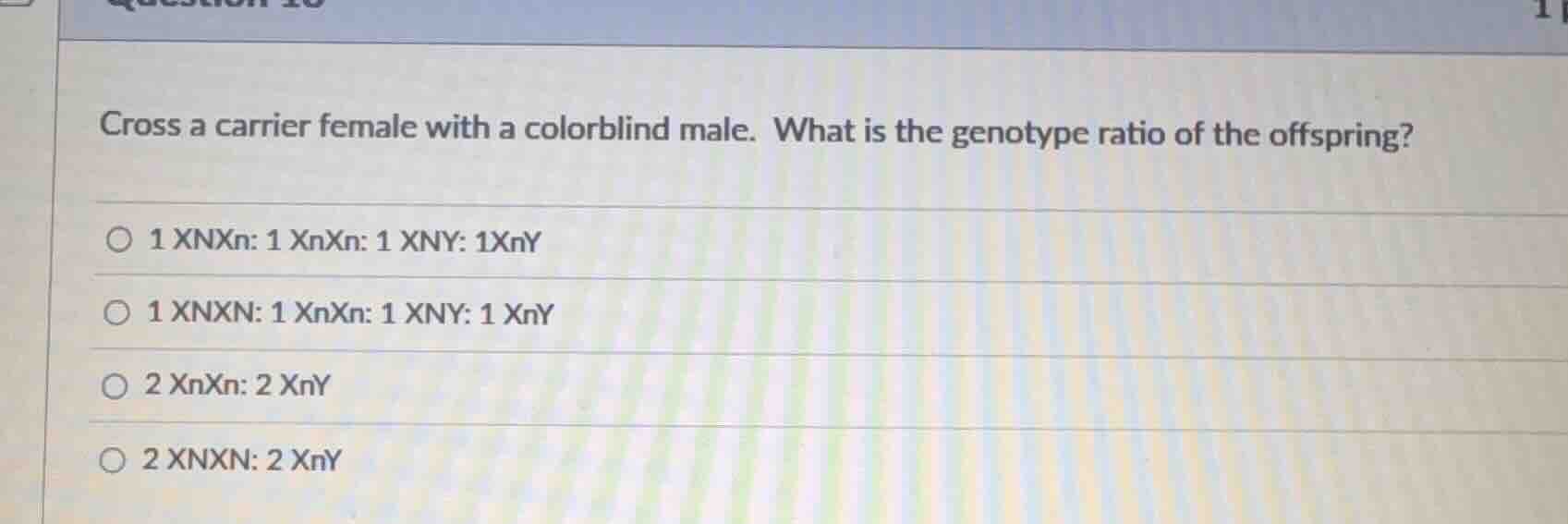 cross a carrier female with a colorblind male. what is the genotype rat…