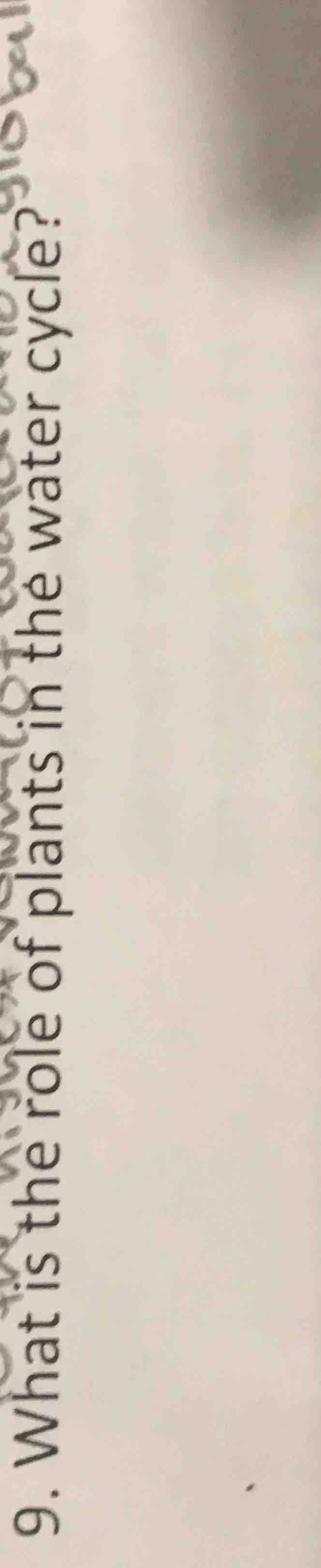 9. what is the role of plants in the water cycle?