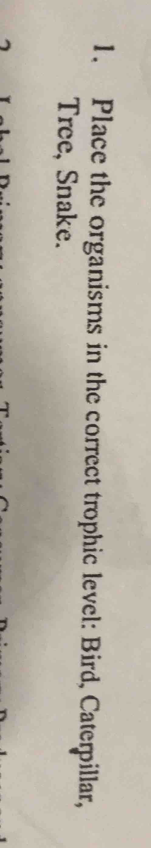 1. place the organisms in the correct trophic level: bird, caterpillar,…