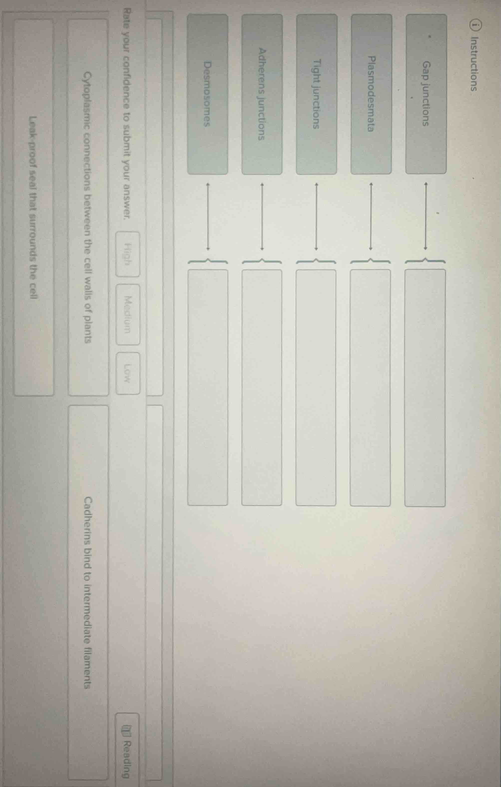 instructions match the following cell junctions with their descriptions…