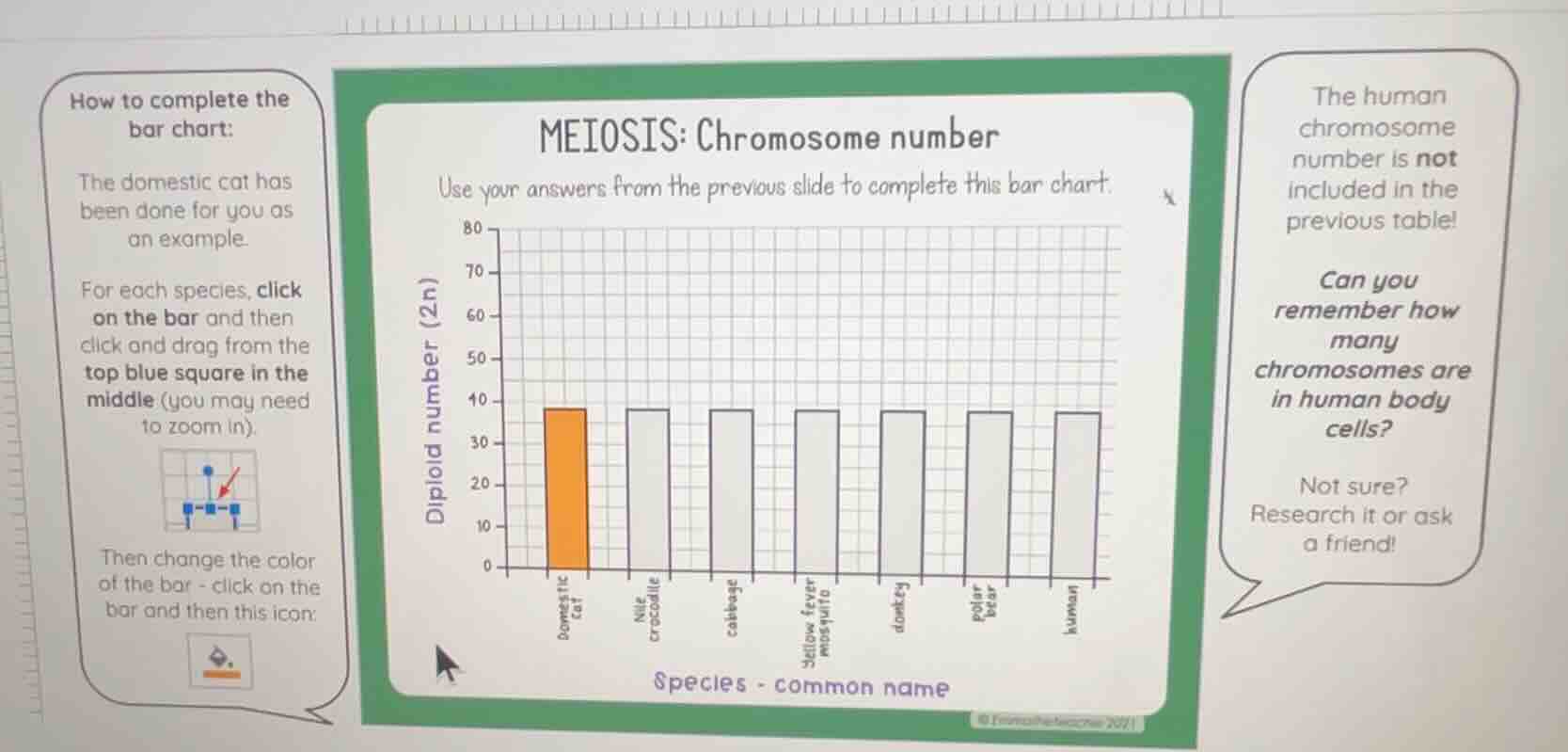 how to complete the bar chart: the domestic cat has been done for you a…