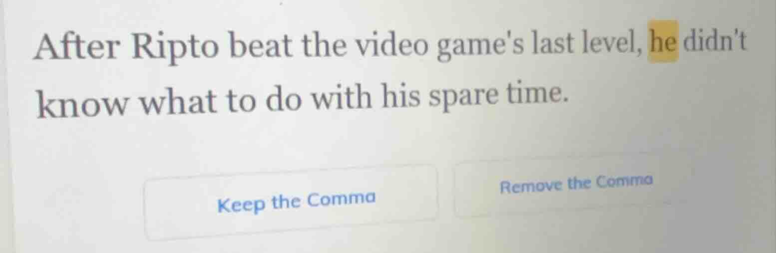 after ripto beat the video games last level, he didnt know what to do w…