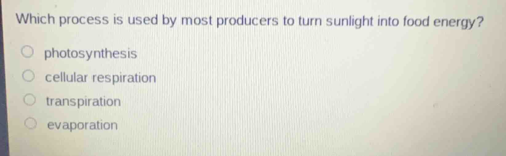 which process is used by most producers to turn sunlight into food ener…