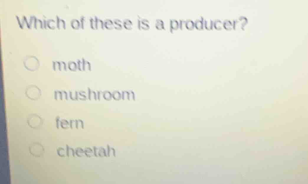which of these is a producer?○ moth○ mushroom○ fern○ cheetah