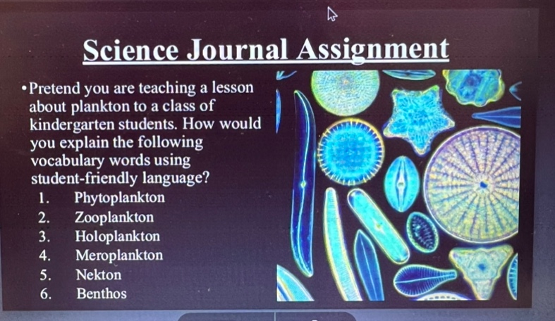 science journal assignment •pretend you are teaching a lesson about pla…