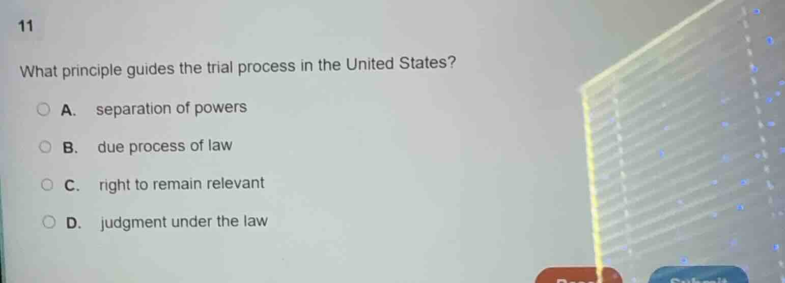 11 what principle guides the trial process in the united states? a. sep…
