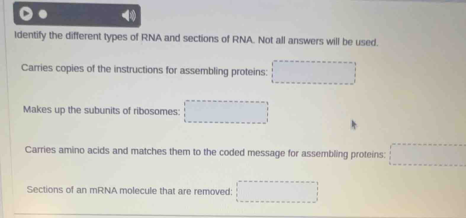 identify the different types of rna and sections of rna. not all answer…