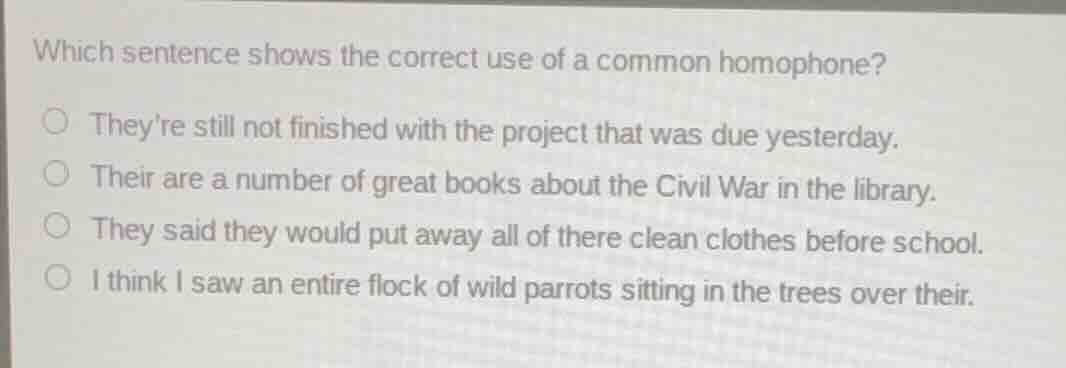 which sentence shows the correct use of a common homophone? theyre stil…