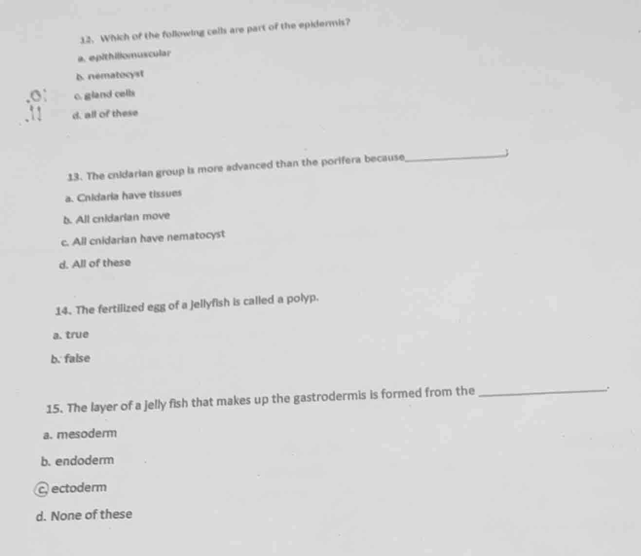 12. which of the following cells are part of the epidermis? a. epitheli…