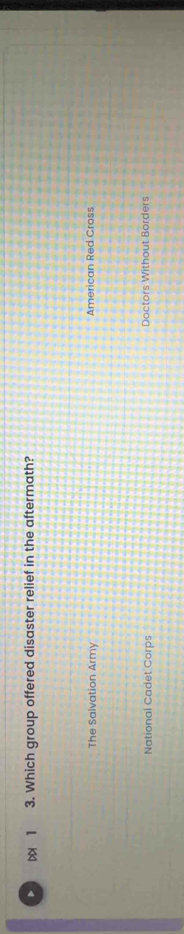3. which group offered disaster relief in the aftermath? the salvation …