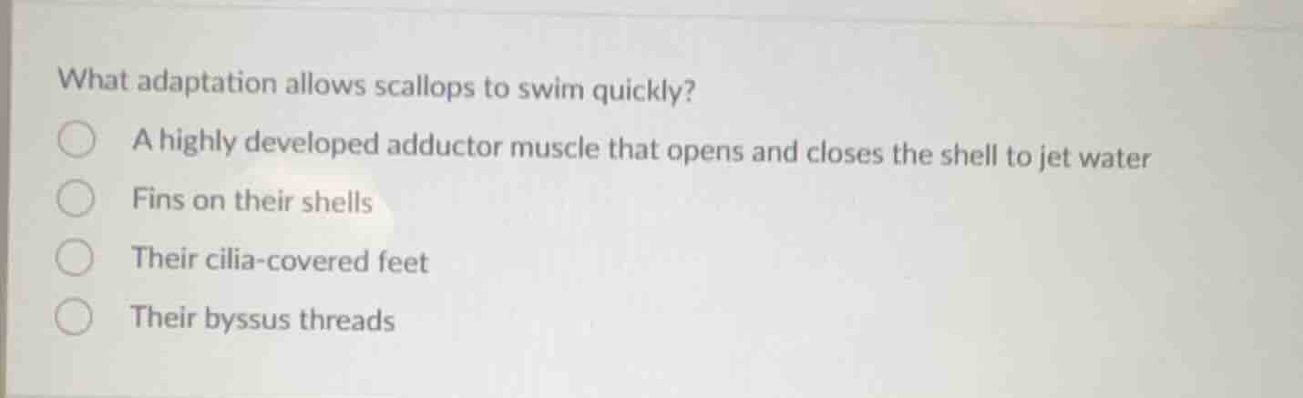 what adaptation allows scallops to swim quickly? a highly developed add…
