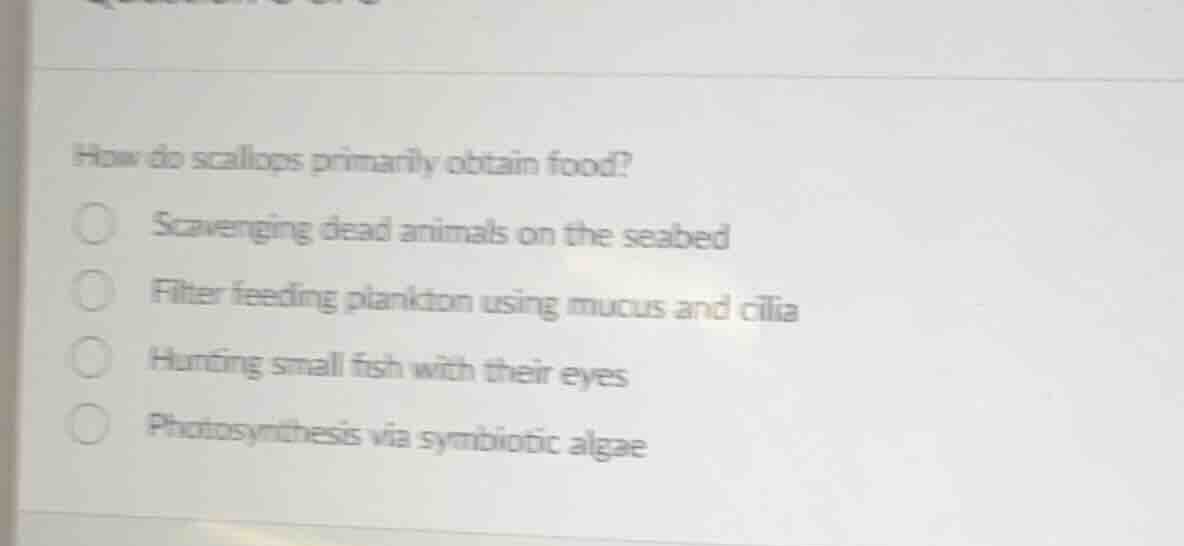 how do scallops primarily obtain food?scavenging dead animals on the se…