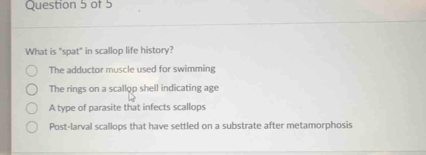 question 5 of 5 what is \spat\ in scallop life history? the adductor mu…